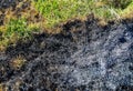 Top view shot of field with ash after a vegetation fire