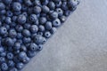 Half frame background of freshly picked organic blueberries. Winter harvest.