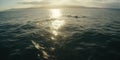 top view shot of sea waves with sunshine