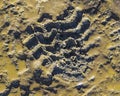 Shoes prints on wet mud, martel glacier, ushuaia