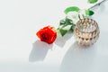 Top-view shot of single red rose, lay down on white table. Light from the side makes shadow. Royalty Free Stock Photo