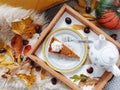 Top view shot of a slice of pumpkin pie and a teapot on a tray with autumn leaves and acorn Royalty Free Stock Photo