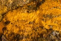 Top view shot of water flowing over the rock in a river bed in Rio Tinto mining park Royalty Free Stock Photo