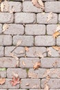 Top view on sidewalk tiles with dry autumn leaves