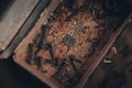 Top view of a silver key and rusty nuts and bolts in a box Royalty Free Stock Photo