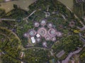 Top view of the Singapore landmark. Singapore Supertrees at Gardens by the Bay at Singapore