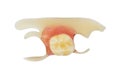 Top view of single artificial denture - false tooth - elastic pr
