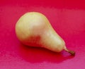 Top View of Single Fresh ripe Pear on Rred Background Royalty Free Stock Photo