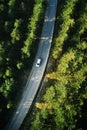 Top view of single white car driving through forest in Zlatibor, Serbia Royalty Free Stock Photo