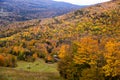 Top view from skyride chairlift in the Hunter Mountain during golden fall season. Royalty Free Stock Photo