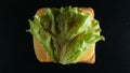 TOP VIEW: Slice of bread with a cheese and green leaf lattuce