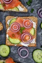 Top view of slice of healthy wholegrain toast bread topped with smoked salmon fish, red onions and spring onions and cucumber on