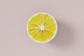 Top view of a slice of lemon on a pink background, banner for the site Royalty Free Stock Photo