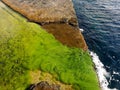 Top view of slimy green algae on the rocks in the coast Royalty Free Stock Photo