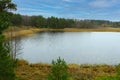 Top view of a small lake near the forest in autumn Royalty Free Stock Photo