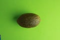 Top view of small melon isolated on a green background Royalty Free Stock Photo