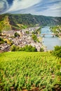 Top view of small town Cochem from the hill with vineyards