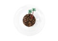 Top view of a small toy island made of roasted coffee beans and toy palm trees in a coffee cup on a white plate isolated on white Royalty Free Stock Photo