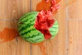 Smashed watermelon on the ground Royalty Free Stock Photo