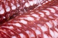 Top view of smoked pork salami chorizo sausages slices background. Raw smoked salami sausage Royalty Free Stock Photo