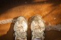 Top view sneakers on sand beach surrounded with clear sea water and shadow of tree in vintage style. Royalty Free Stock Photo