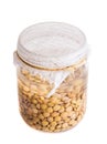 Top View of Soaked Sprouting Lentils Royalty Free Stock Photo