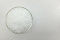 Top view of sodium or potassium hydroxide white chemical compound pellets or prills in a petri dish. Royalty Free Stock Photo