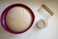 Top view of soft bread dough rising in a bowl Royalty Free Stock Photo