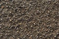 Top view Soil texture background. Sand . high quality photos