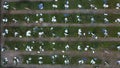 Top view of solar panels destroyed by a storm tornado, Czech republic,