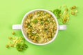 Top view, soup with meatballs, peas and herbs on a green background