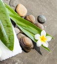 Top view of spa objects and stones for massage treatment on black background Royalty Free Stock Photo