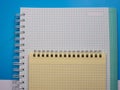 An open page of two notebooks in close-up. Royalty Free Stock Photo