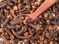 Top view of spoon on pile of dried cloves closeup Royalty Free Stock Photo