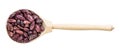 Top view of spoon with red spotted pinto beans