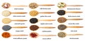 Top view of spoon with various seeds with names