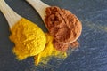 Top view of spoons with cayenne pepper and turmeric powder Royalty Free Stock Photo