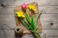 Top view of spring flowers bouquet. Yellow daffodils and pink tulip on wooden background. Copy space Royalty Free Stock Photo