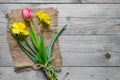 Top view of spring flowers bouquet. Yellow daffodils and pink tulip on wooden background. Copy space Royalty Free Stock Photo