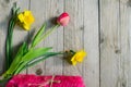 Top view of spring flowers bouquet. Yellow daffodils and pink tulip on wooden background. Copy space Royalty Free Stock Photo