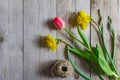 Top view of spring flowers bouquet. Yellow daffodils and pink tulip on wooden background. Copy space Royalty Free Stock Photo