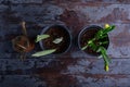 Top view spring green flowers of not yet blossoming daffodils and tulips in tin pots, a small watering can.