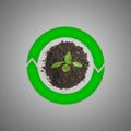 Top view of sprout growing on the ground and surrounded by green rotating round arrows Royalty Free Stock Photo