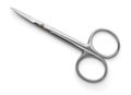 Top view of stainless steel manicure scissors