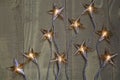 Top view of star shaped Christmas lights against wooden background Royalty Free Stock Photo