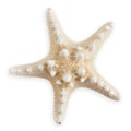 Top view of a starfish, isolated on a white background. Represents the concept of a summer beach vacation, evoking memories of Royalty Free Stock Photo