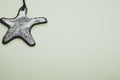 Top view of starfish pendant isolated on a white background Royalty Free Stock Photo