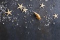 Top view of starshells, sea salt, shell on the wet grey surface.Empty space for text Royalty Free Stock Photo