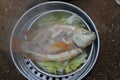 Top view steamed fish with herbs, steamed Asian cuisine