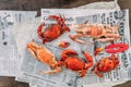 Top view Steamed Flower Crabs and Giant Mud Crabs with separated parts of steamed crab such as claw meat and body on newspaper. Royalty Free Stock Photo